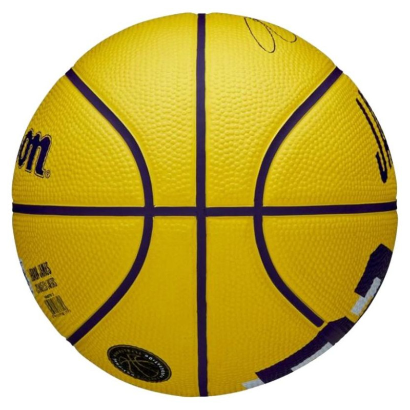 Wilson NBA Player Icon LeBron James Mini Ball Basketball WZ4027701XB (3)