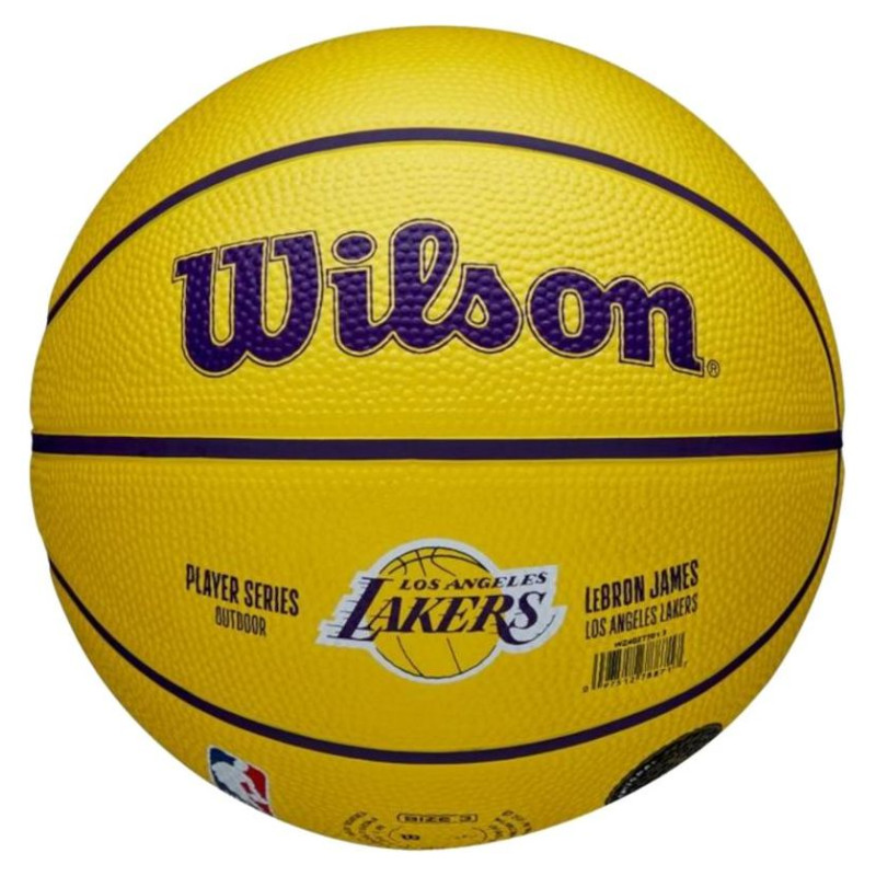 Wilson NBA Player Icon LeBron James Mini Ball Basketball WZ4027701XB (3)
