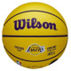 Wilson NBA Player Icon LeBron James Mini Ball Basketball WZ4027701XB (3)
