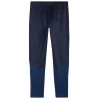 Puma Team Goal Training Pants M 658639 06 (S)