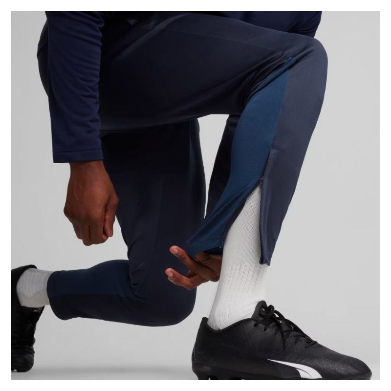 Puma Team Goal Training Pants M 658639 06 (S)