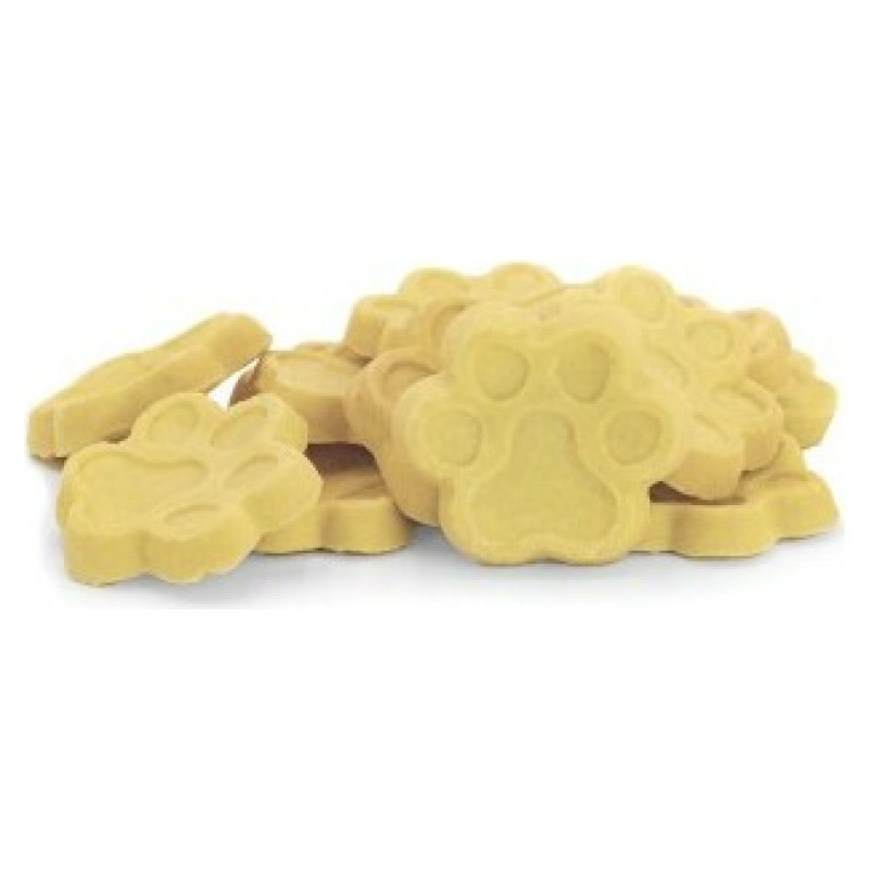 Record BiscoRe Zampotti citrus fruit and yoghurt dog biscuits 400 g - papildbarība suņiem