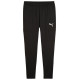 Puma Team Goal Slim Training Pants M 659037 03 (M)
