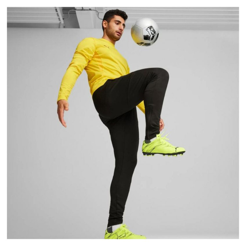 Puma Team Goal Slim Training Pants M 659037 03 (M)
