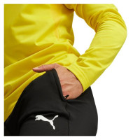 Puma Team Goal Slim Training Pants M 659037 03 (M)