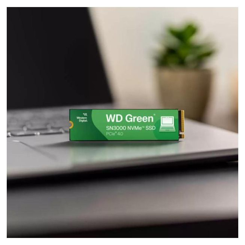 Western Digital SSD|WESTERN DIGITAL|Green|500GB|M.2|PCIe Gen4|NVMe|Write speed 4100 MBytes/sec|Read speed 5000 MBytes/sec|2.3mm|TBW 100 TB|WDS500G4G0E