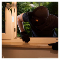 Tellur WiFi Door/Window Sensor, AAA, white