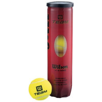 Wilson Team Practice Tennis Balls 4 pcs WRT111900