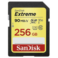 Sandisk MEMORY SDXC 256GB UHS-1/SDSDXVV-256G-GNCIN SANDISK
