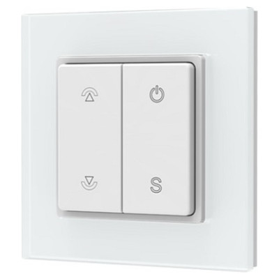 Skydance PF1(G) RF Remote Control, Single Color, 1 Zone