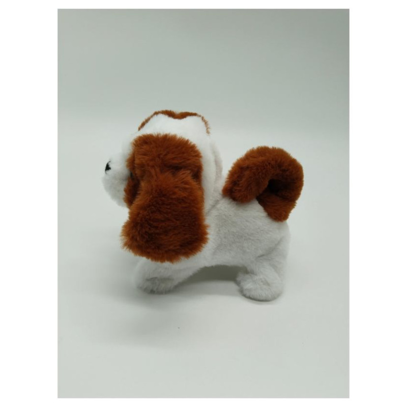 Pugs At Play Staigājo&scaron;s suns, Leo