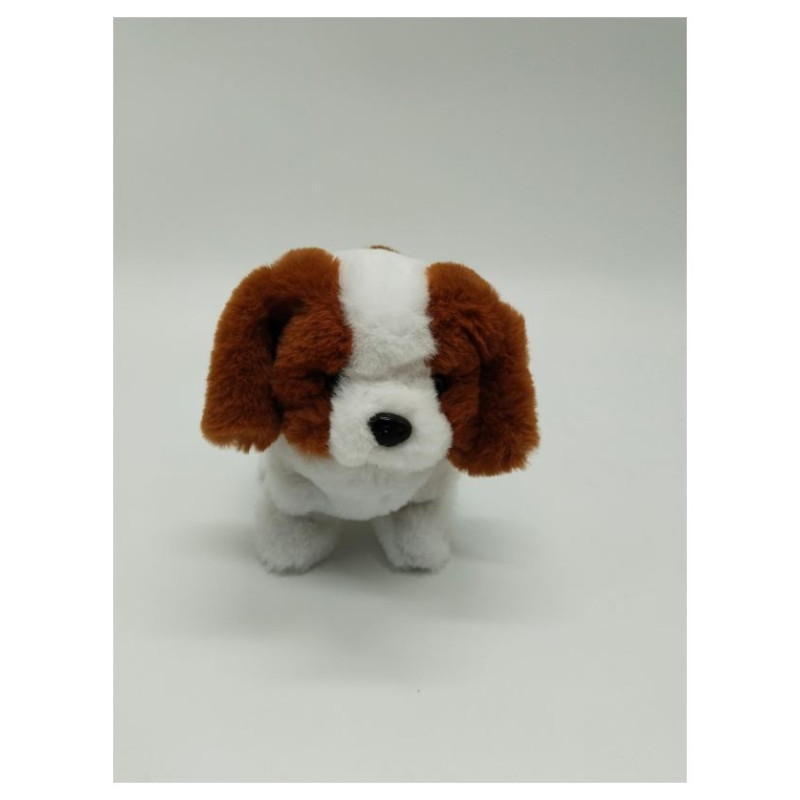 Pugs At Play Staigājo&scaron;s suns, Leo