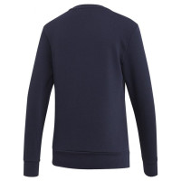 Adidas W Essentials Linear Sweat W EI0678 (2XS)