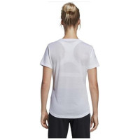 Adidas W D2M Logo Tee W DU2080 (XS)