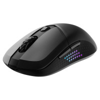 MSI MOUSE USB OPTICAL WRL GAMING/VERSA 300 ELITE W MSI