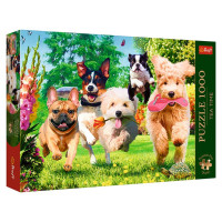 Trefl Premium Plus Puzle Suņi, 1000 gab.