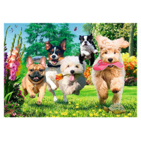 Trefl Premium Plus Puzle Suņi, 1000 gab.