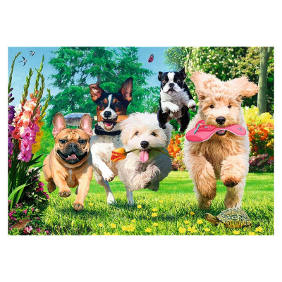 Trefl Premium Plus Puzle Suņi, 1000 gab.