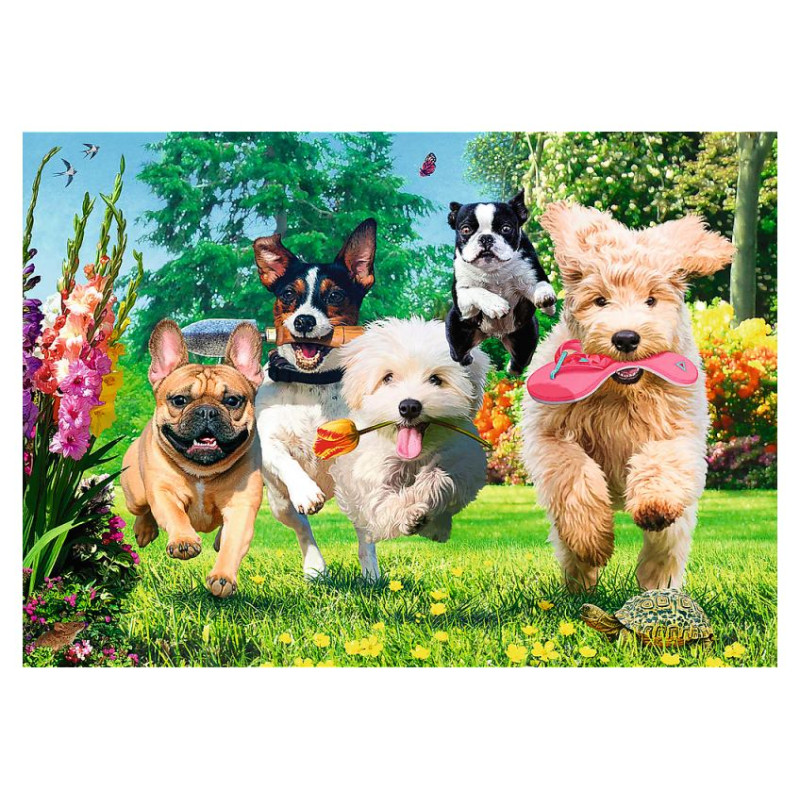 Trefl Premium Plus Puzle Suņi, 1000 gab.