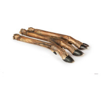 Laikas Gardums Stirnas kāja 1gb.