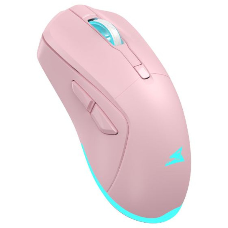 Baracuda BGM-124 Turtle Pink