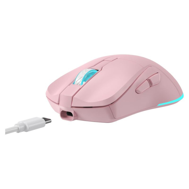 Baracuda BGM-124 Turtle Pink