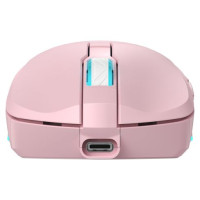 Baracuda BGM-124 Turtle Pink