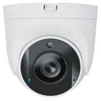 Synology NET CAMERA 5MP IR TURRET/TC500 SYNOLOGY