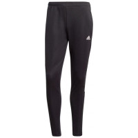 Adidas Tiro 21 Track W GM7310 pants (2XS)