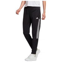 Adidas Tiro 21 Track W GM7310 pants (2XS)