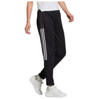 Adidas Tiro 21 Track W GM7310 pants (2XS)