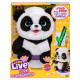 Little Live Pets Interaktīva plīša rotaļlieta My Baby Panda, 25 cm