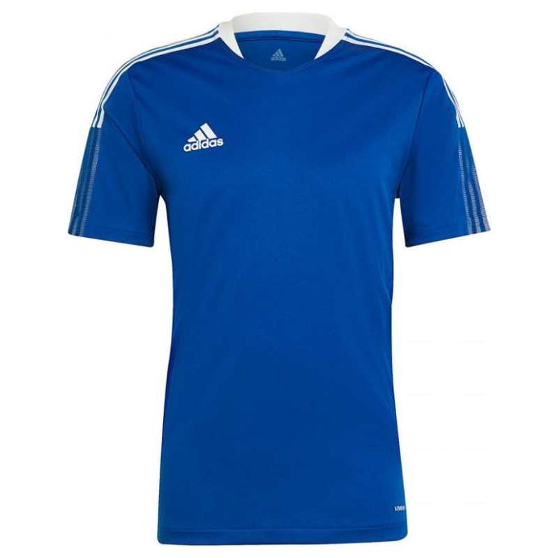 Adidas T-shirt adidas TIRO 21 TR JSY M GM7589 (XL)