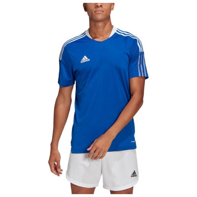 Adidas T-shirt adidas TIRO 21 TR JSY M GM7589 (XL)