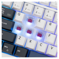 White Shark GK-007251 Excalibur White US