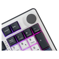 White Shark GK-007251 Excalibur White US