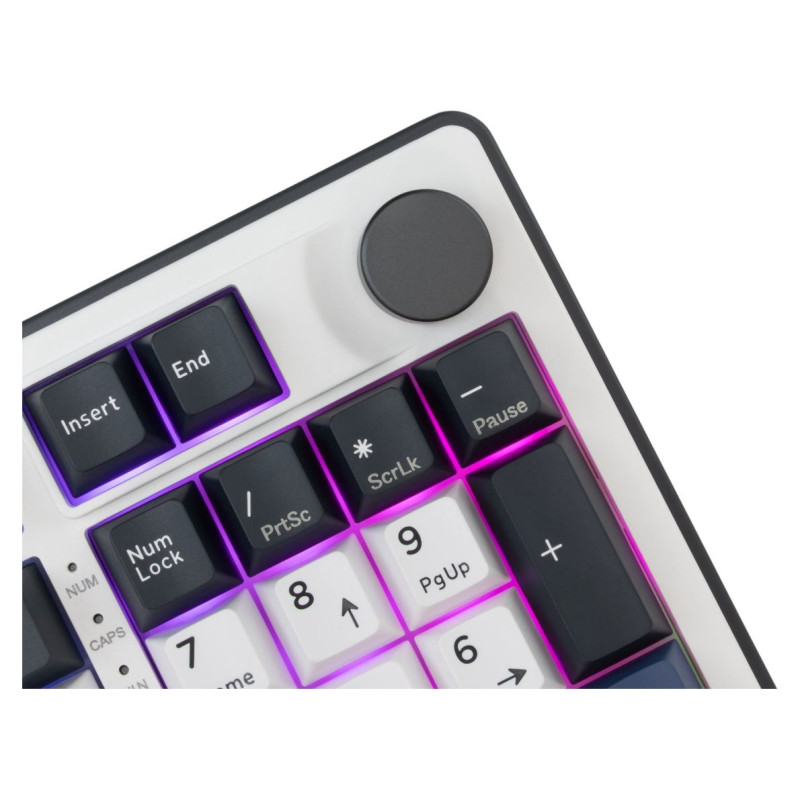 White Shark GK-007251 Excalibur White US