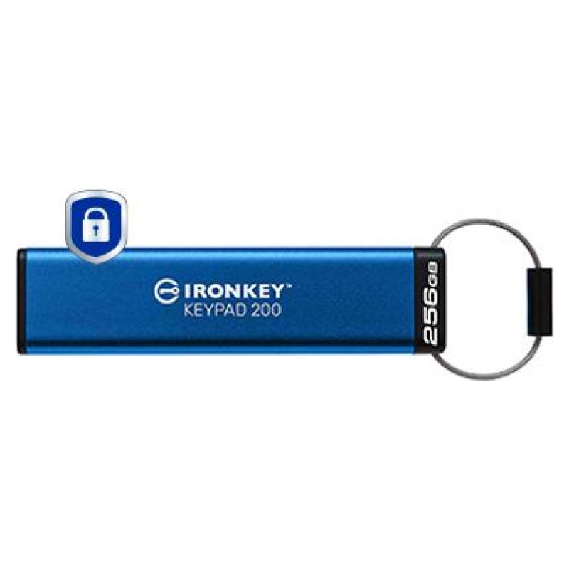 Kingston MEMORY DRIVE FLASH USB3.2/256GB IKKP200/256GB KINGSTON