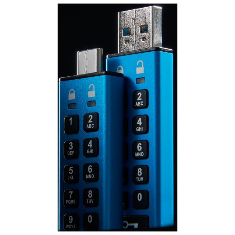 Kingston MEMORY DRIVE FLASH USB3.2/256GB IKKP200/256GB KINGSTON