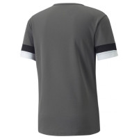 Puma T-shirt Puma teamRISE Smoked M 704932 13 (L)