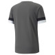 Puma T-shirt Puma teamRISE Smoked M 704932 13 (L)