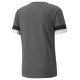 Puma T-shirt Puma teamRISE Smoked M 704932 13 (L)