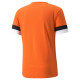 Puma teamRise Jersey M 704932 08 (S)