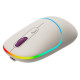 Canyon mouse MW-22 2in1 BT/ Wireless Rice