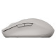 Canyon mouse MW-12 Dual band Wireless grey