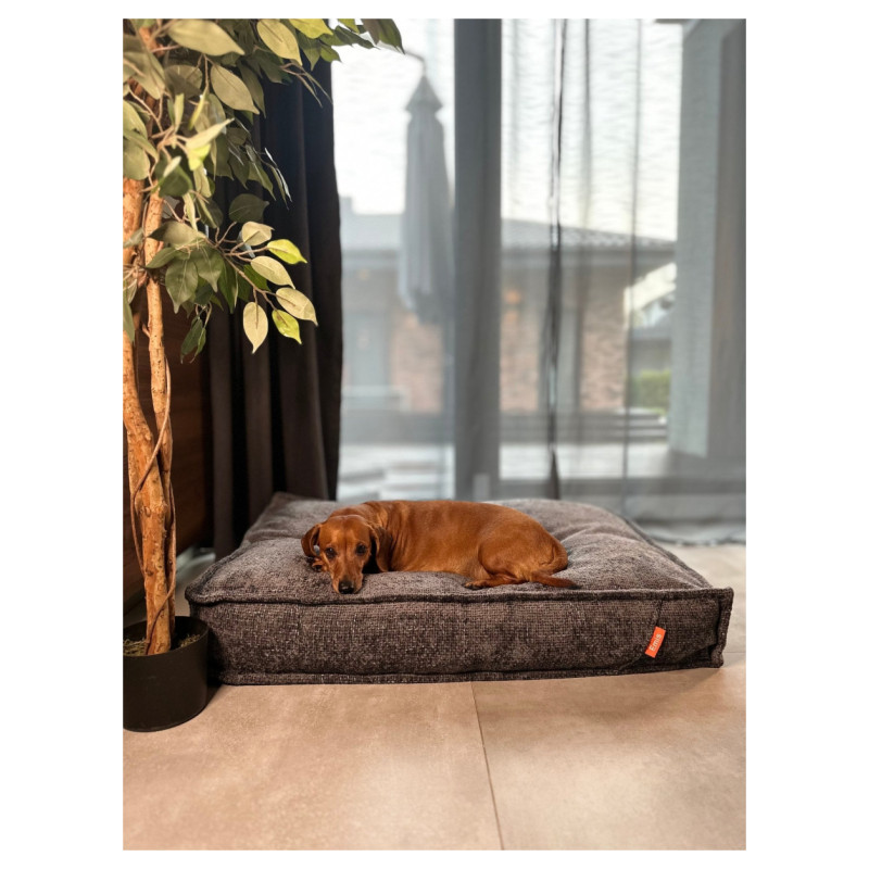 Emis Sleeping Dakota S 80x60 / Bē&scaron;a / Comfort foam