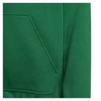 Adidas Sweatshirt adidas Entrada 22 Hoody Y Jr HI2143 (152 cm)