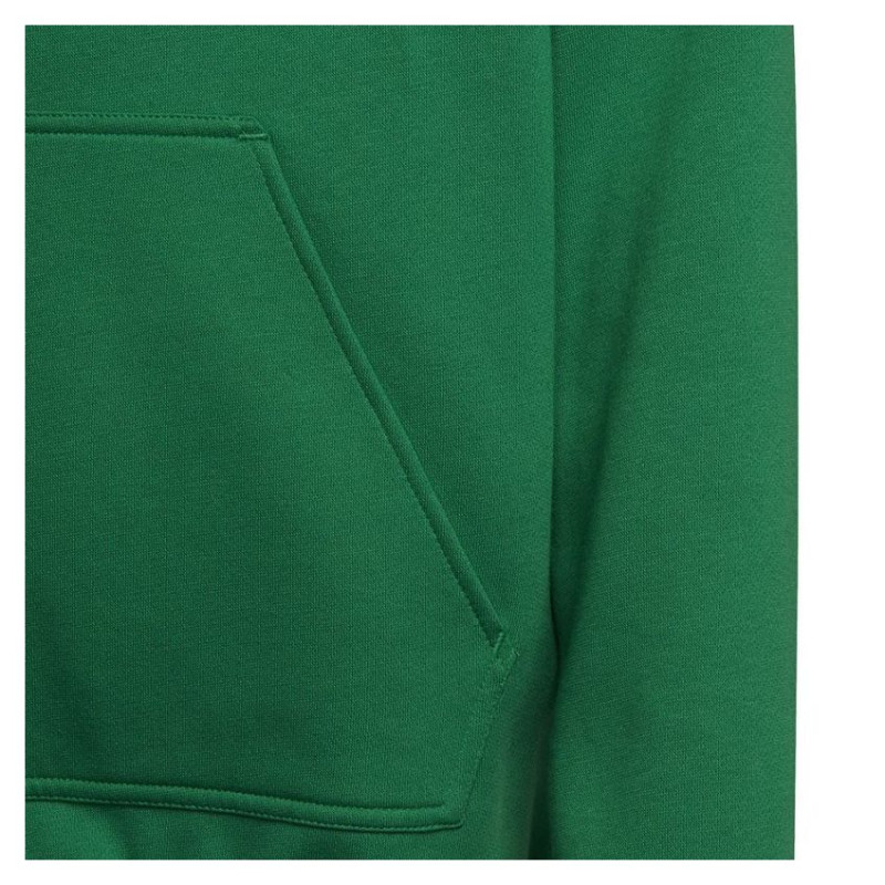 Adidas Sweatshirt adidas Entrada 22 Hoody Y Jr HI2143 (152 cm)