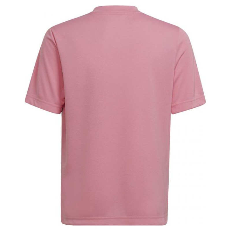 Adidas Entrada 22 Graphic Jersey Jr HC2632 (128 cm)