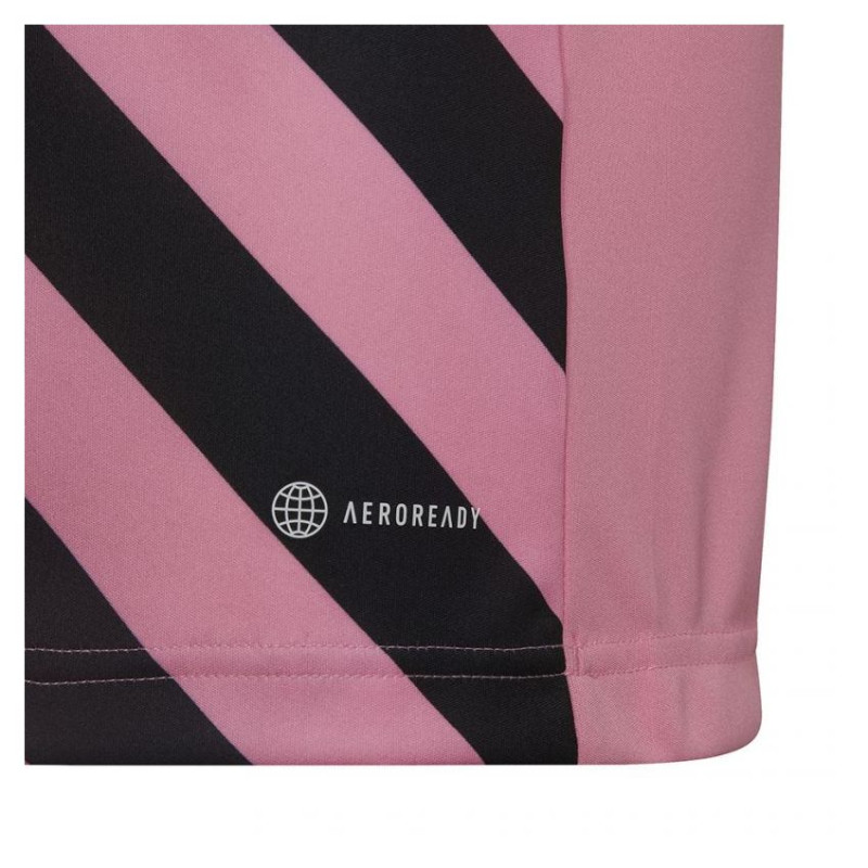 Adidas Entrada 22 Graphic Jersey Jr HC2632 (128 cm)